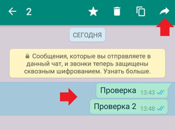 Восстановить переписку Whatsapp с помощью собеседника