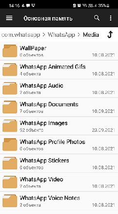 Проверить папку WhatsApp