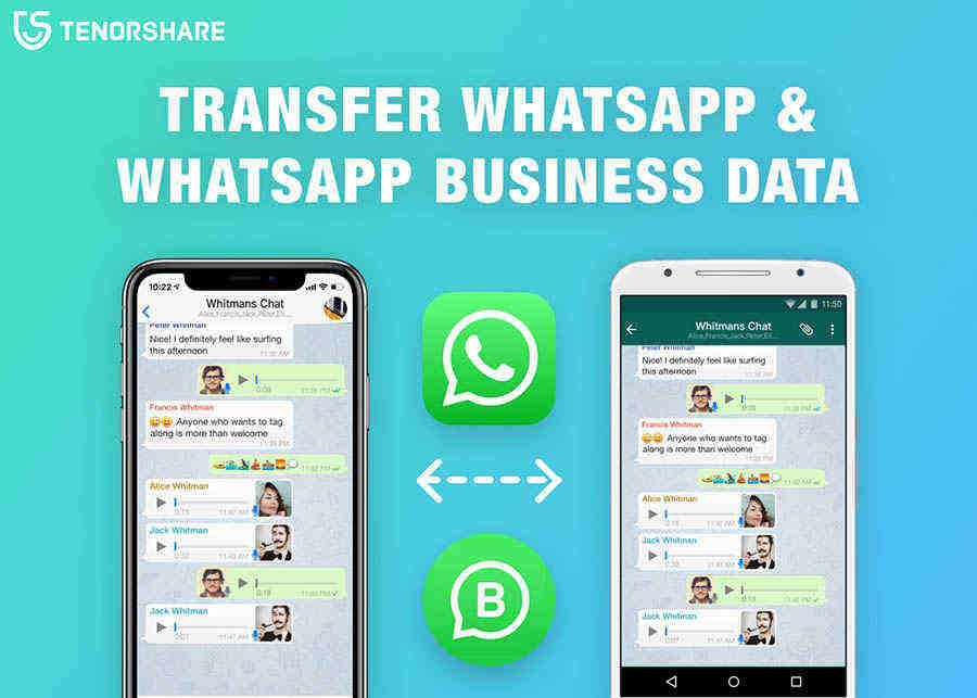 Перенести ватсап на ватсап бизнес айфон. WHATSAPP transfer. Tenorshare ICAREFONE WHATSAPP. Резервное копирование WHATSAPP. Tenorshare ICAREFONE transfer.