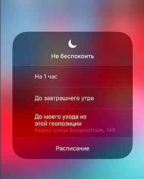 siri и поиск