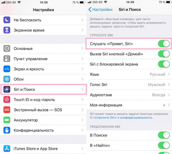 Что за программа siri на айфоне