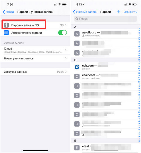 Просмотр сохраненного пароля Safari из настроек устройства iOS 13