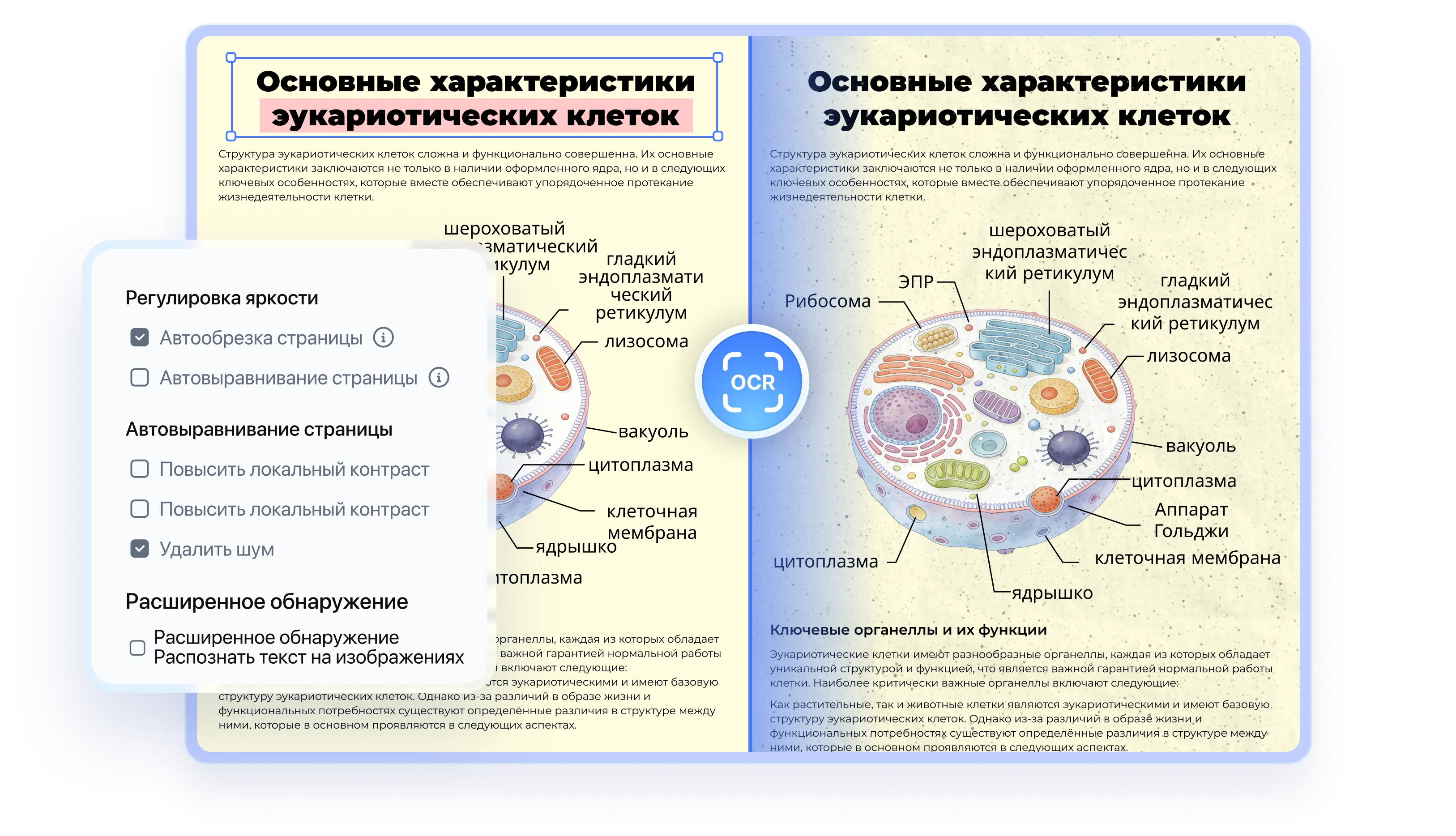 pdnob pdf editor ocr pdf
